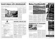 Síða 3