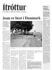 Síða 15