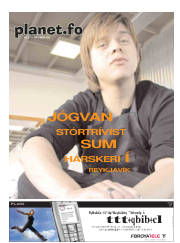 Síða 17
