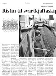 Síða 6