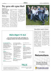 Síða 4
