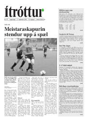 Síða 17