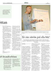 Síða 23