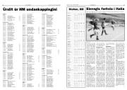 Síða 13