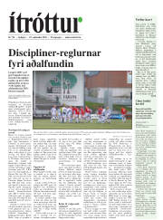 Síða 17