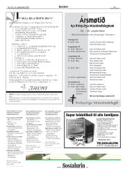 Síða 29