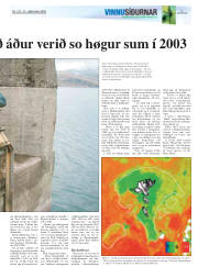 Síða 17