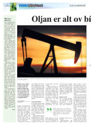 Síða 20
