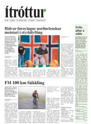 Síða 19