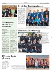 Síða 20