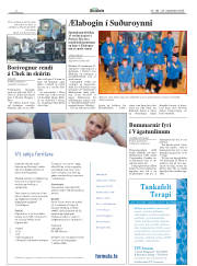 Síða 2