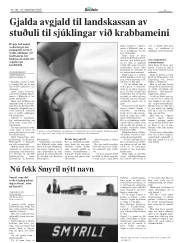 Síða 5