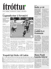 Síða 19