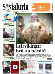 Síða 1