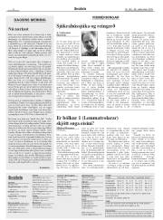 Síða 8