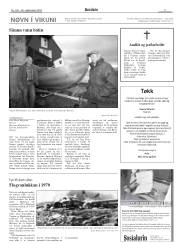 Síða 11