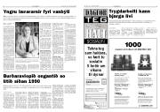 Síða 3