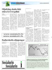Síða 20