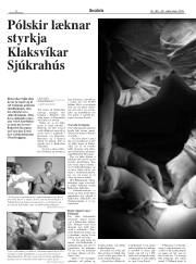 Síða 8
