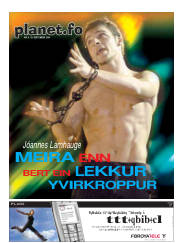 Síða 17