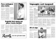 Síða 8