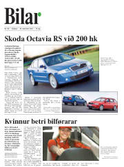 Síða 38