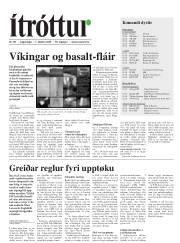 Síða 17