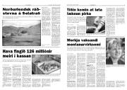 Síða 3