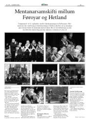 Síða 29
