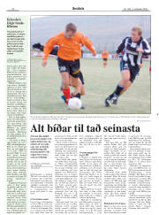 Síða 20