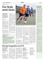 Síða 23
