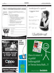 Síða 30