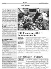 Síða 6