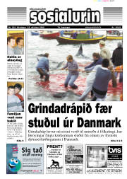 Síða 1