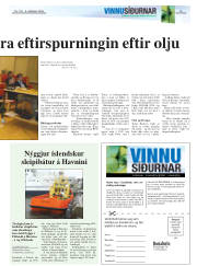 Síða 15
