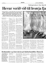 Síða 8