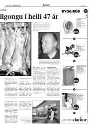 Síða 9