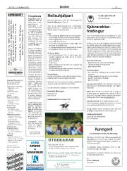 Síða 31