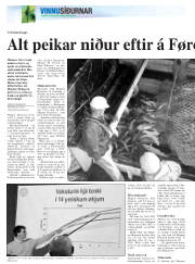 Síða 30