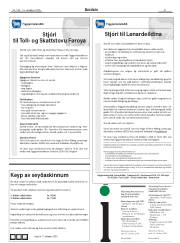 Síða 29