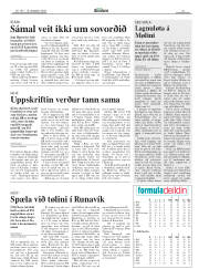 Síða 15