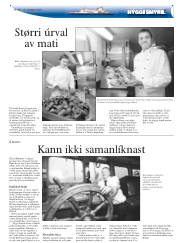 Síða 19