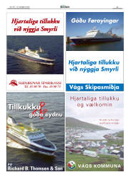 Síða 29