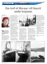 Síða 30