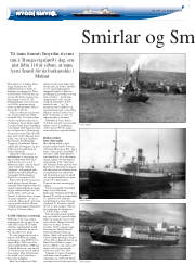 Síða 36