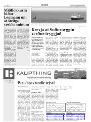 Síða 8