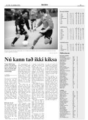 Síða 29