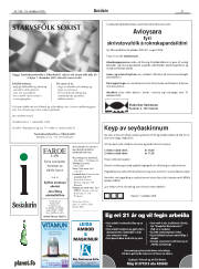Síða 31