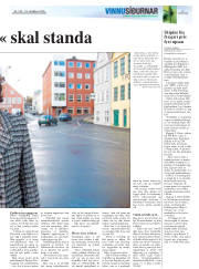 Síða 17