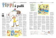 Síða 11